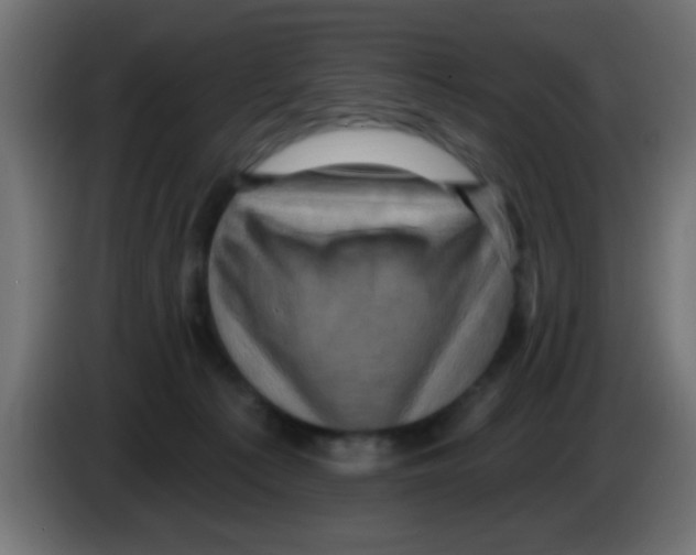 X0000083040225200703022056