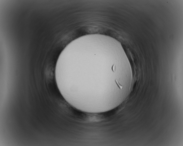 X0000083040226200703022055