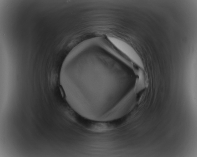 X0000083040227200703022055