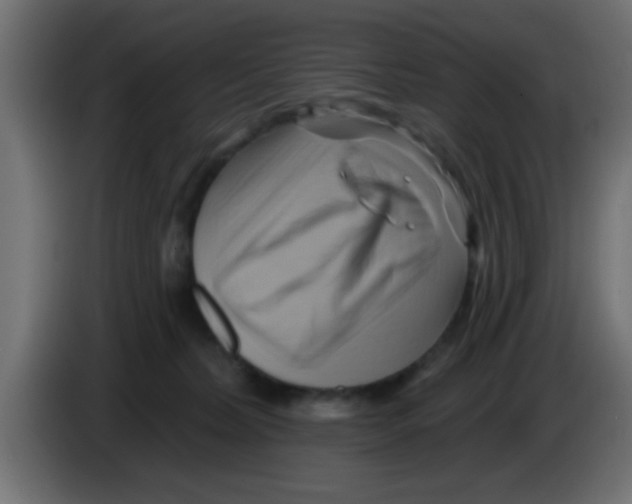 X0000083040228200703022055