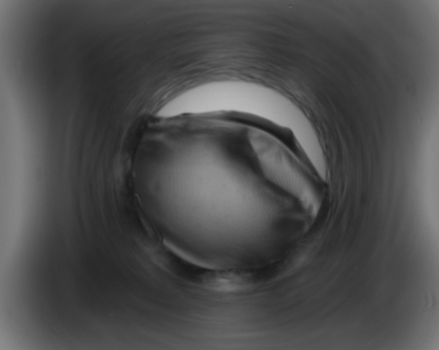 X0000083040229200703022055