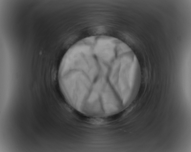 X0000083040230200703022055