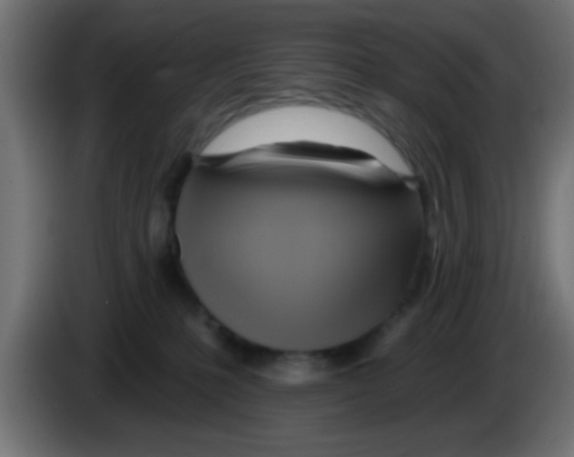 X0000083040231200703022055