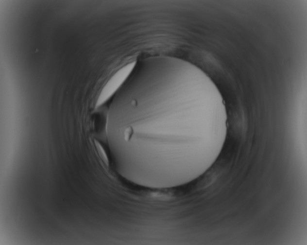 X0000083040232200703022055