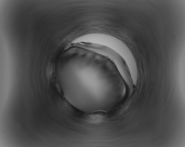 X0000083040233200703022055