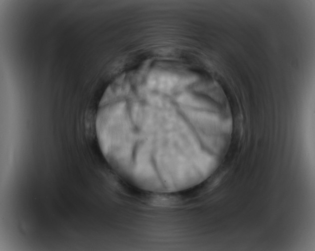 X0000083040234200703022055