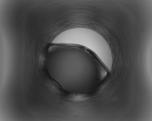 X0000083040235200703022055