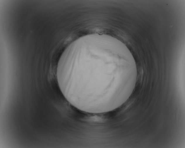 X0000083040236200703022055