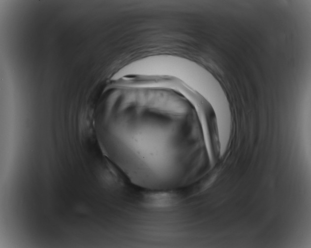 X0000083040237200703022055