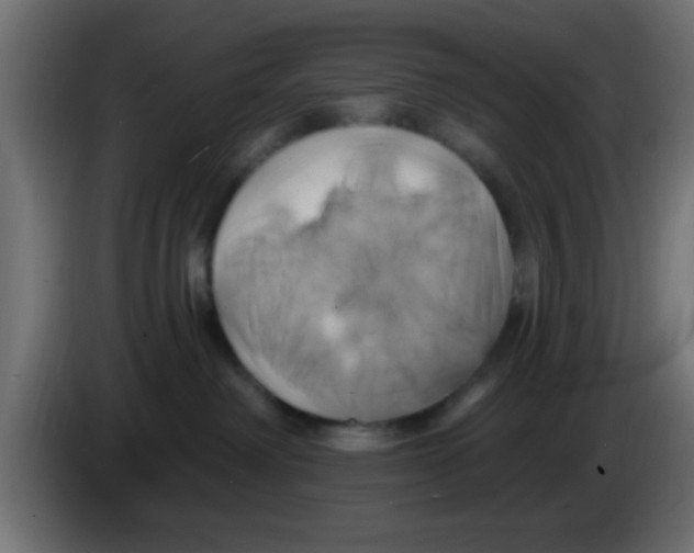 X0000083040238200703022055