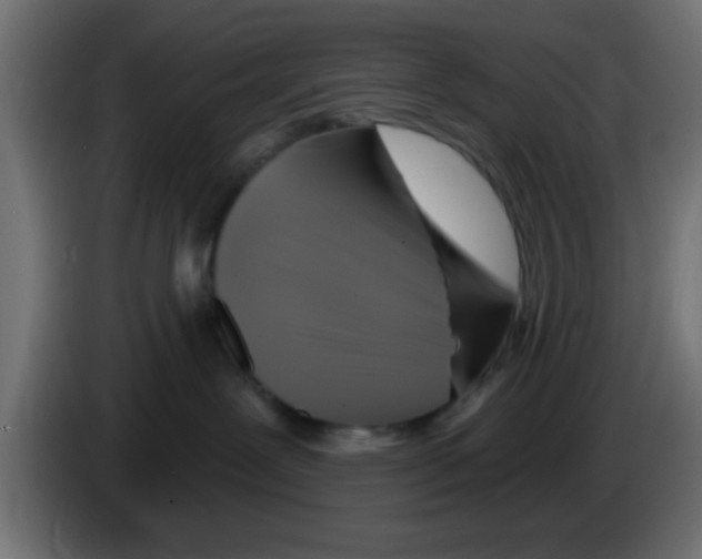 X0000083040239200703022055