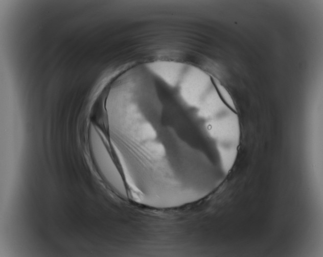 X0000083040241200703022055