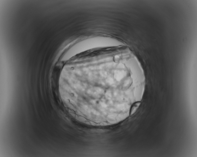 X0000083040242200703022055