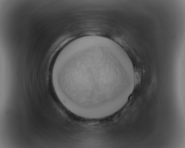 X0000083040243200703022055