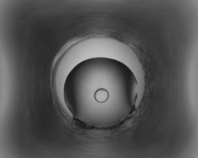 X0000083040244200703022055