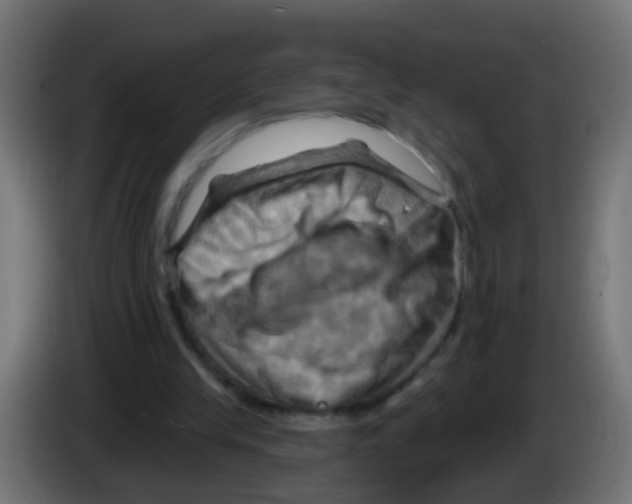 X0000083040245200703022055