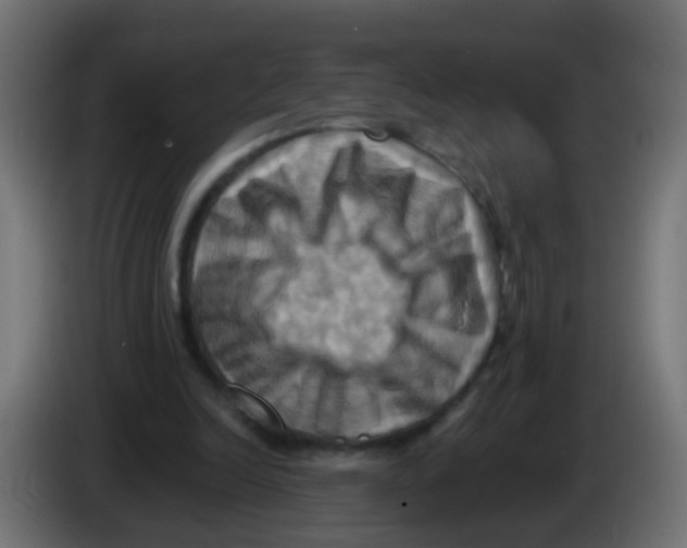 X0000083040246200703022055