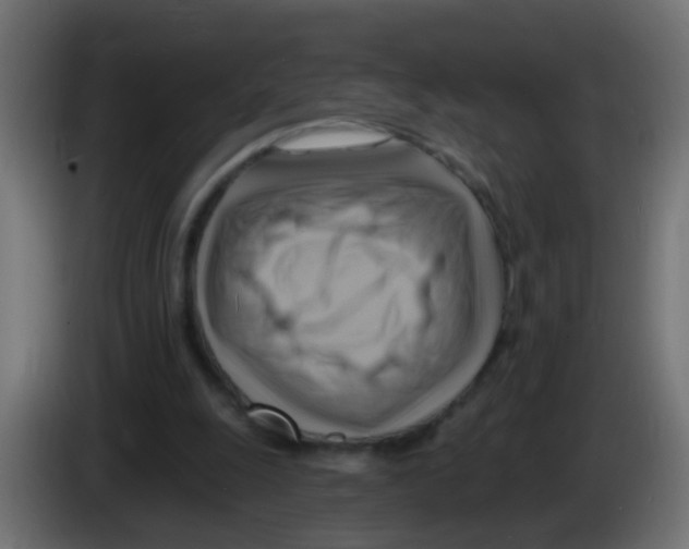 X0000083040247200703022055