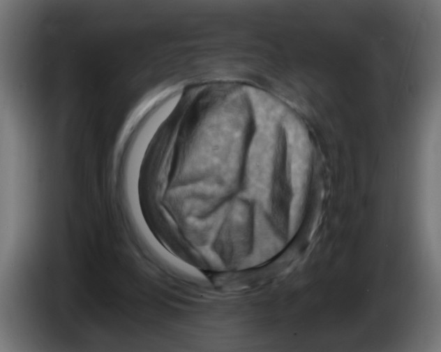 X0000083040248200703022055
