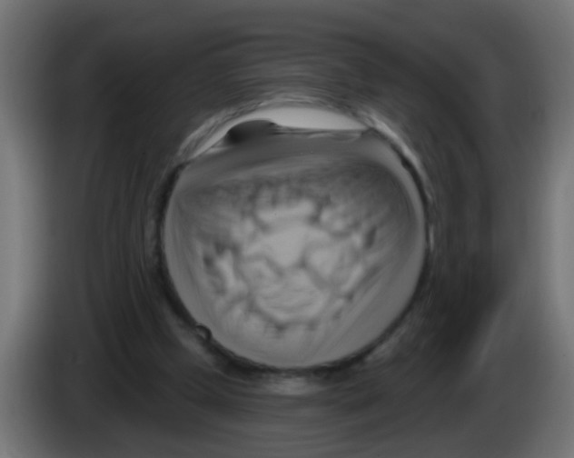 X0000083040249200703022055