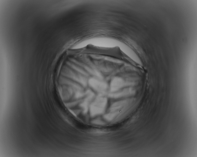 X0000083040250200703022055