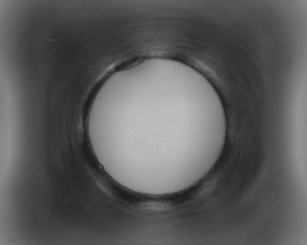 X0000083040251200703022055