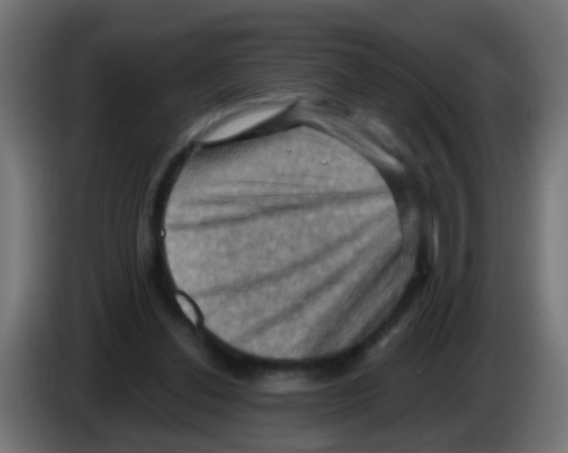 X0000083040252200703022055