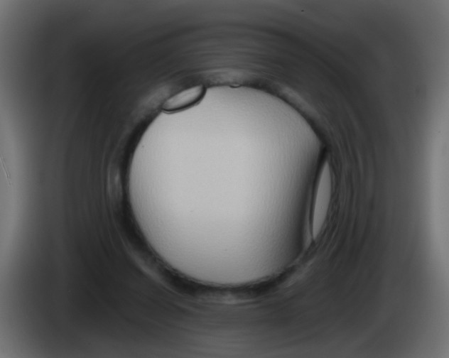 X0000083040254200703022055