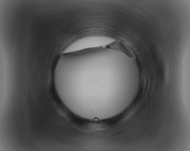 X0000083040255200703022055