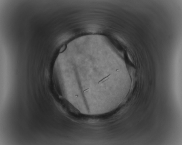 X0000083040256200703022055