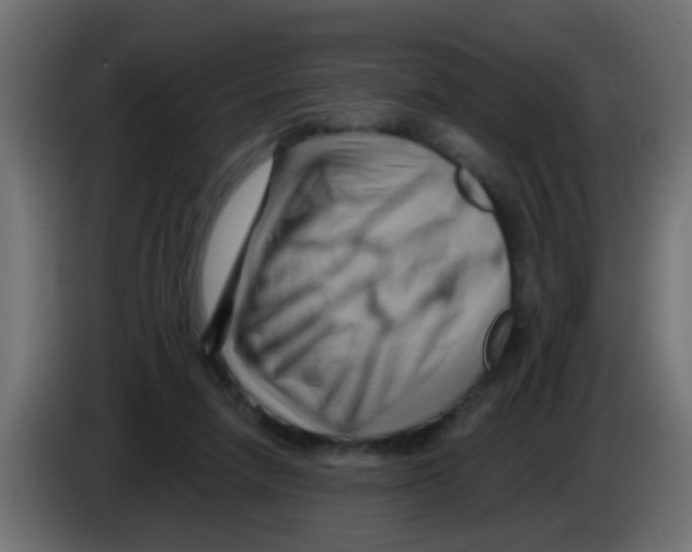 X0000083040258200703022055