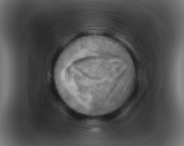 X0000083040259200703022055