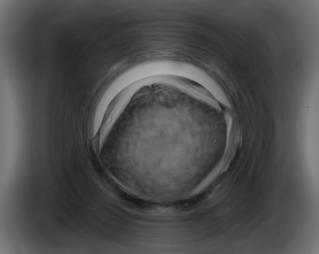 X0000083040260200703022055