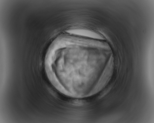 X0000083040261200703022055