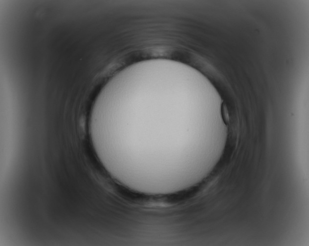 X0000083040262200703022055