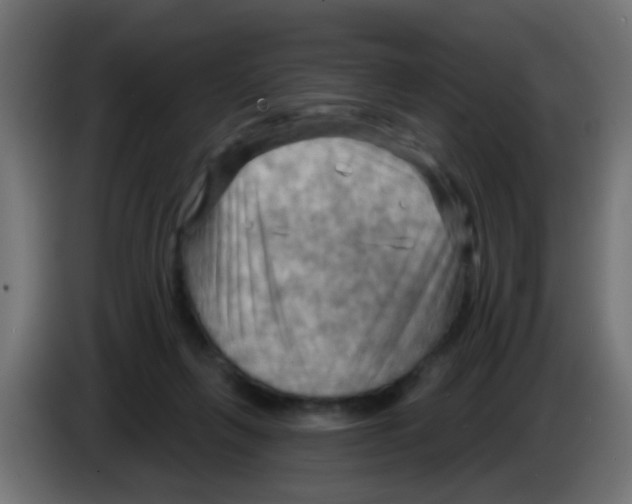 X0000083040263200703022055