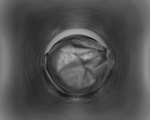 X0000083040264200703022055