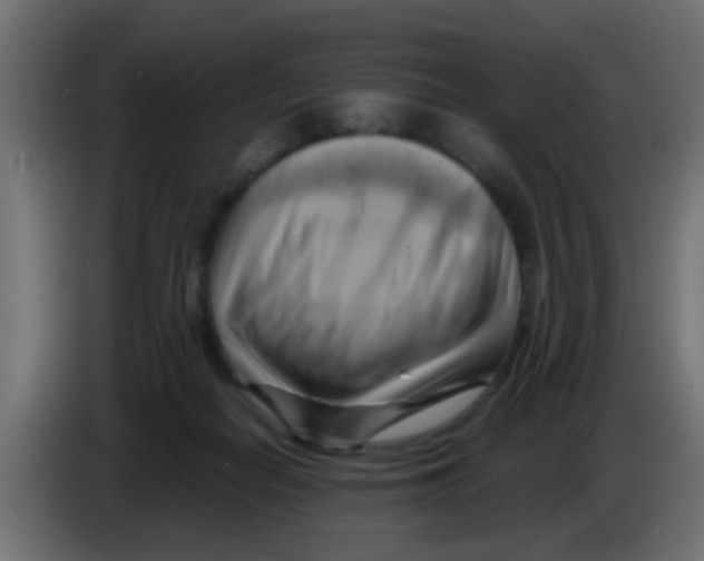 X0000083040266200703022055