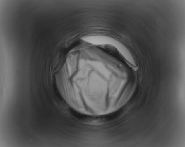 X0000083040267200703022055