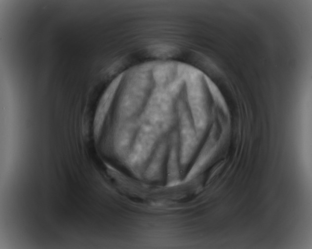 X0000083040268200703022055