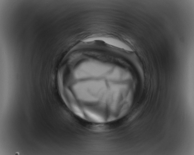 X0000083040269200703022055