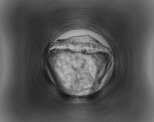 X0000083040270200703022055