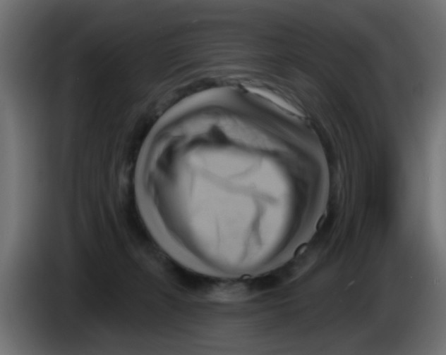 X0000083040271200703022055