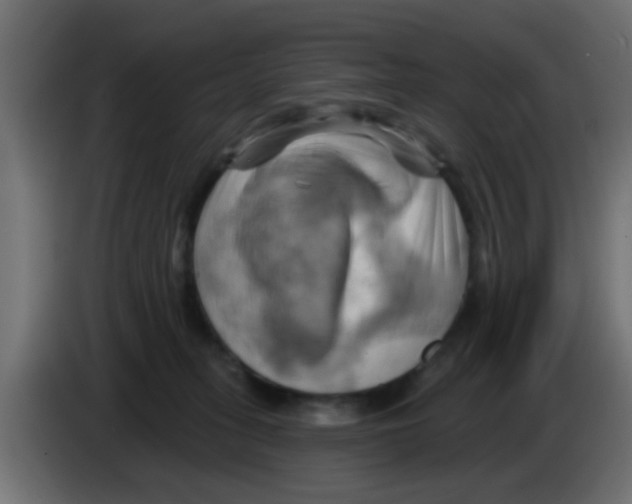X0000083040275200703022055