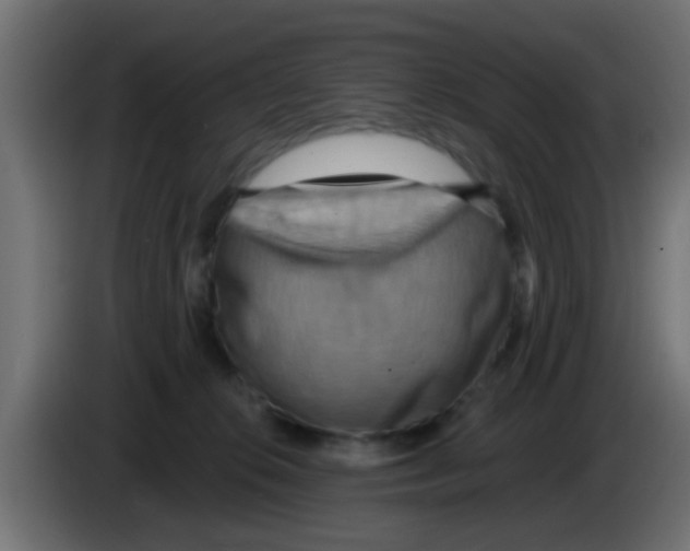 X0000083040276200703022055