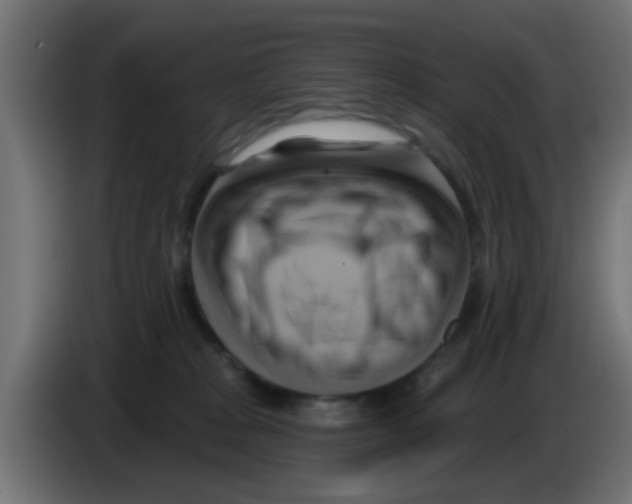 X0000083040277200703022055