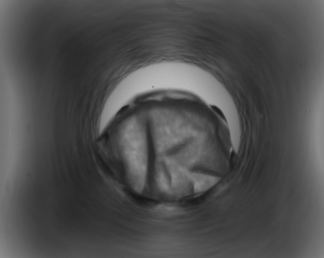 X0000083040280200703022055