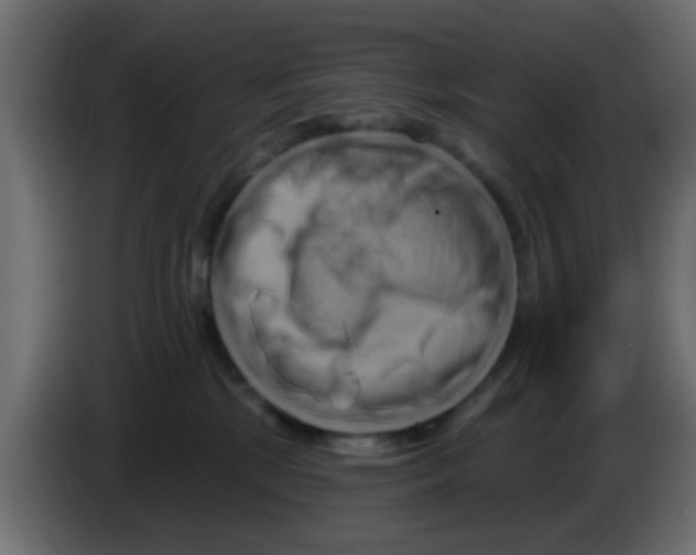 X0000083040281200703022055