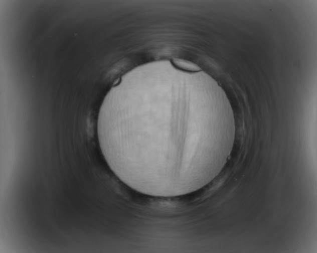 X0000083040282200703022055