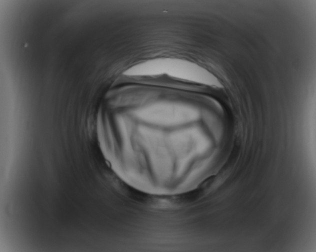 X0000083040285200703022055